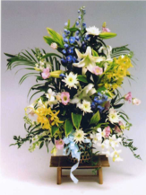 枕花2
